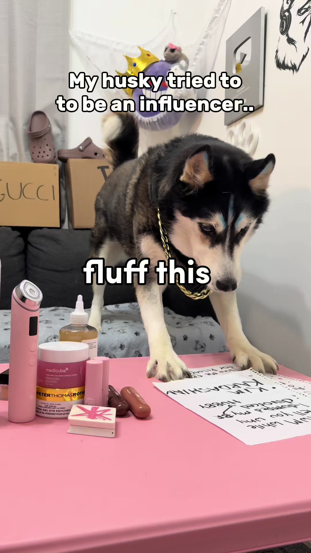 @Maya Husky 🐺