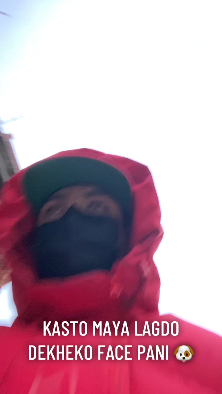 @🐶