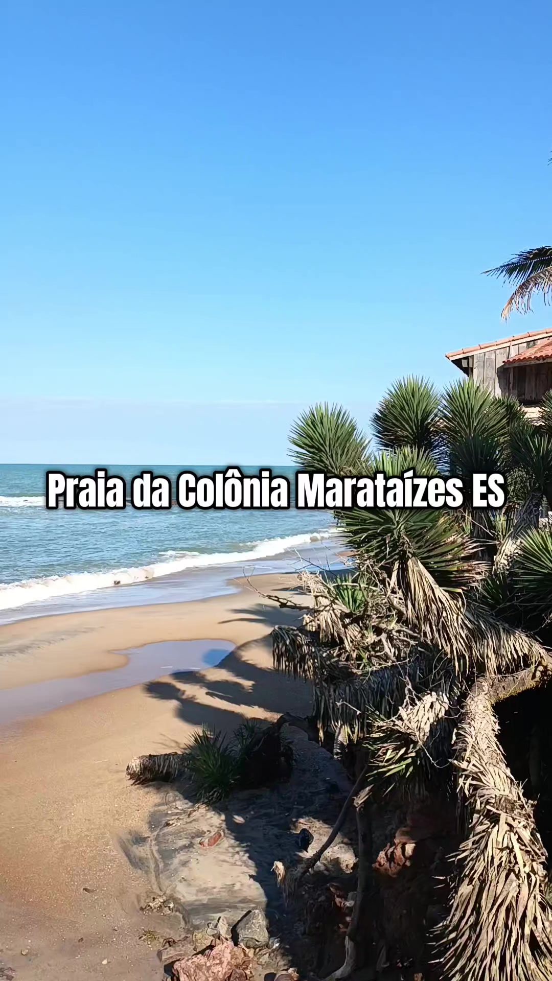@Palominha Marqx