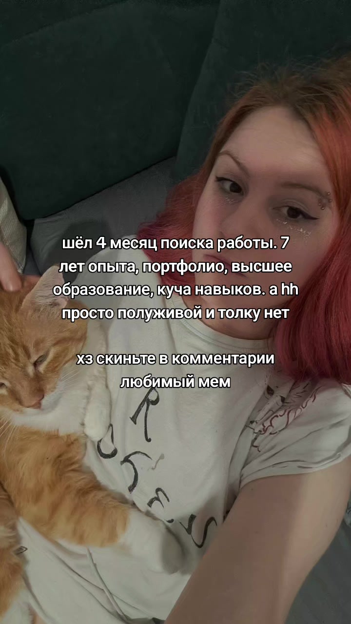 @Котяра в стране Евро-чудес