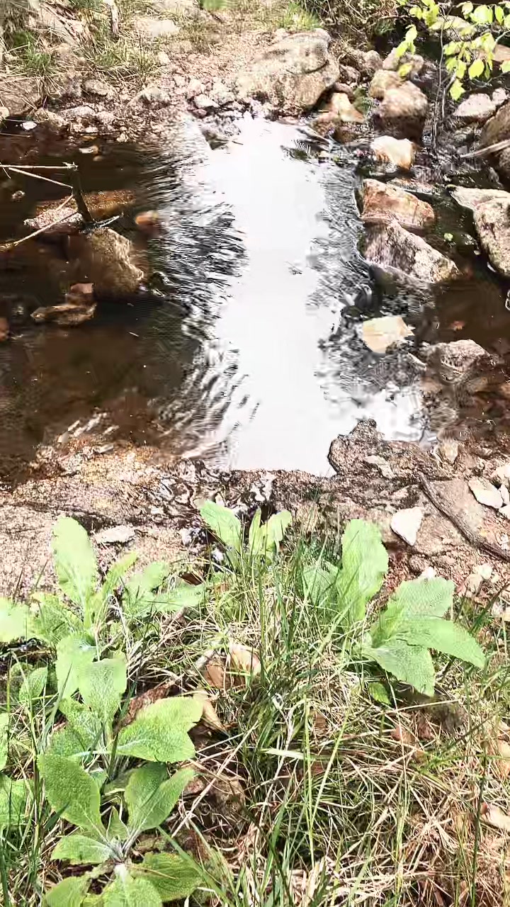 @𝑳𝒊𝒍𝒚 𝑴𝒂𝒍𝒇𝒐𝒚