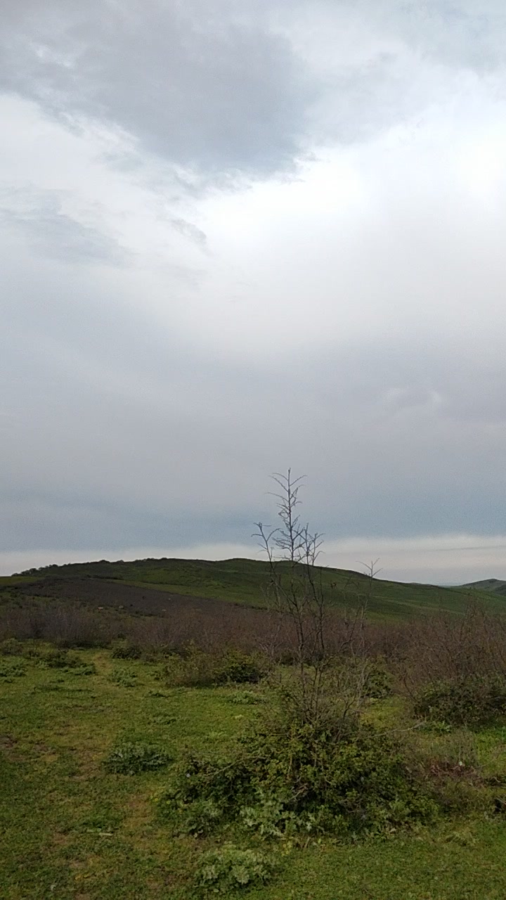 @Emin Kərimov
