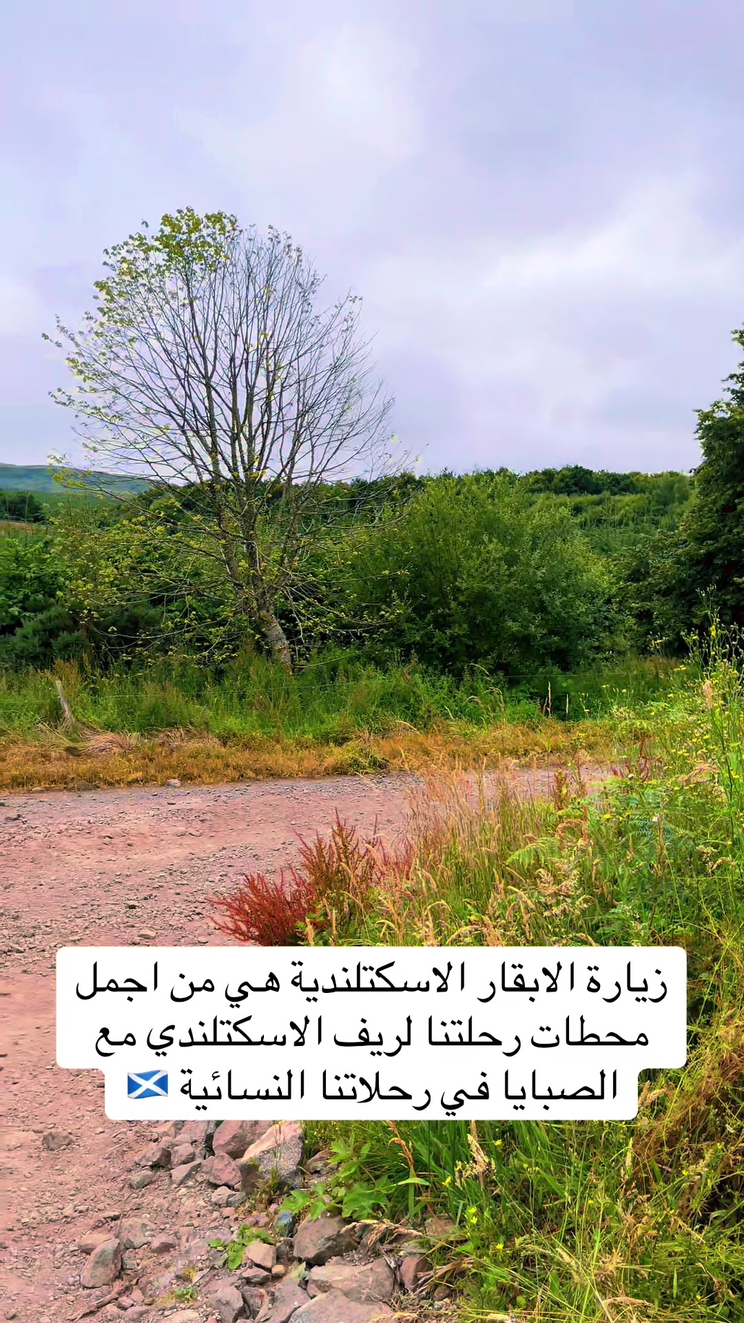 @راويه لسياحة والسفر 🇬🇧