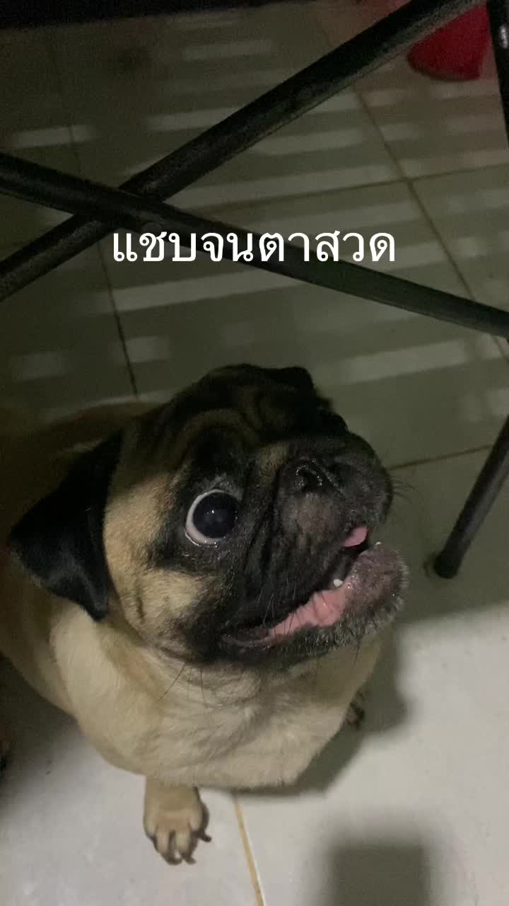 @NumfonXaiyavong