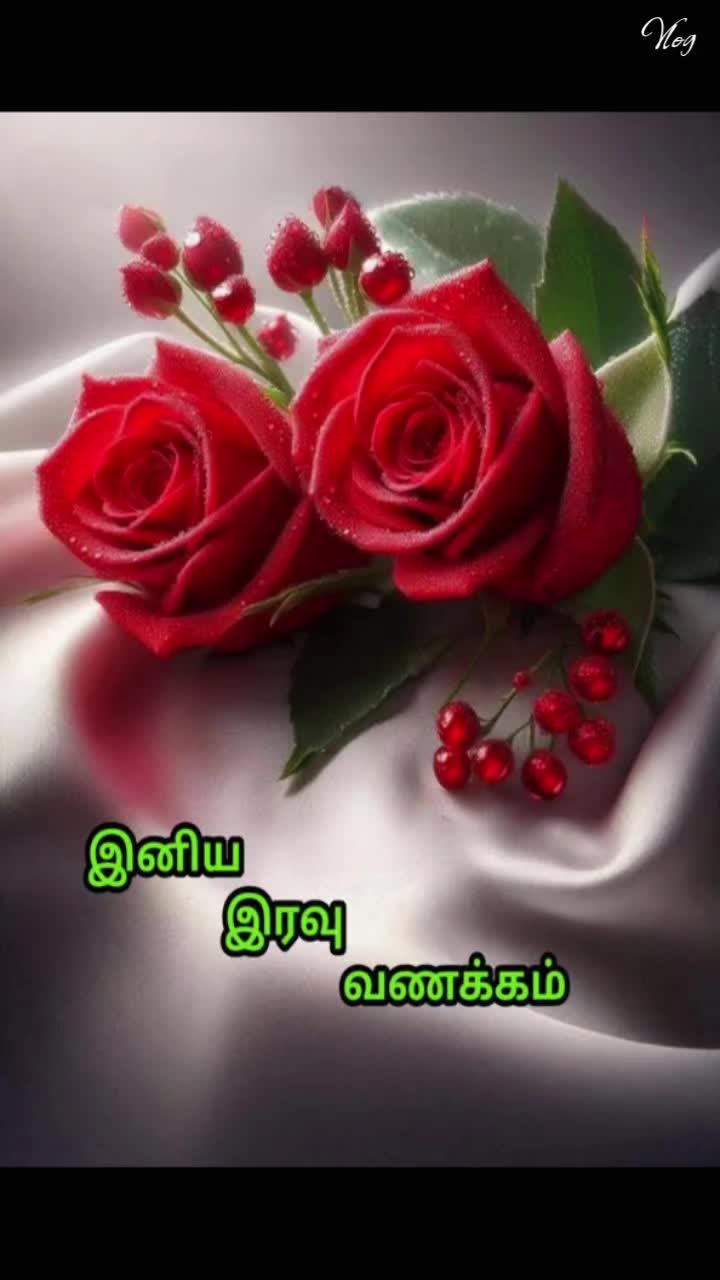 @Sai Meena
