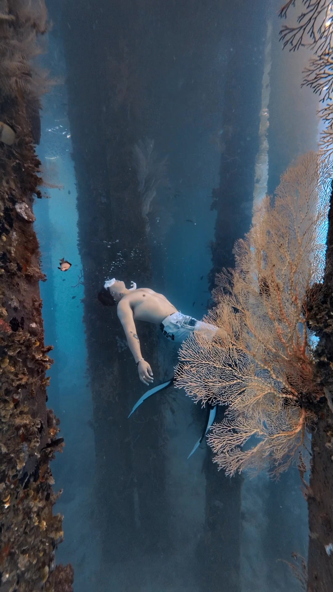@@voltamazingfreediver