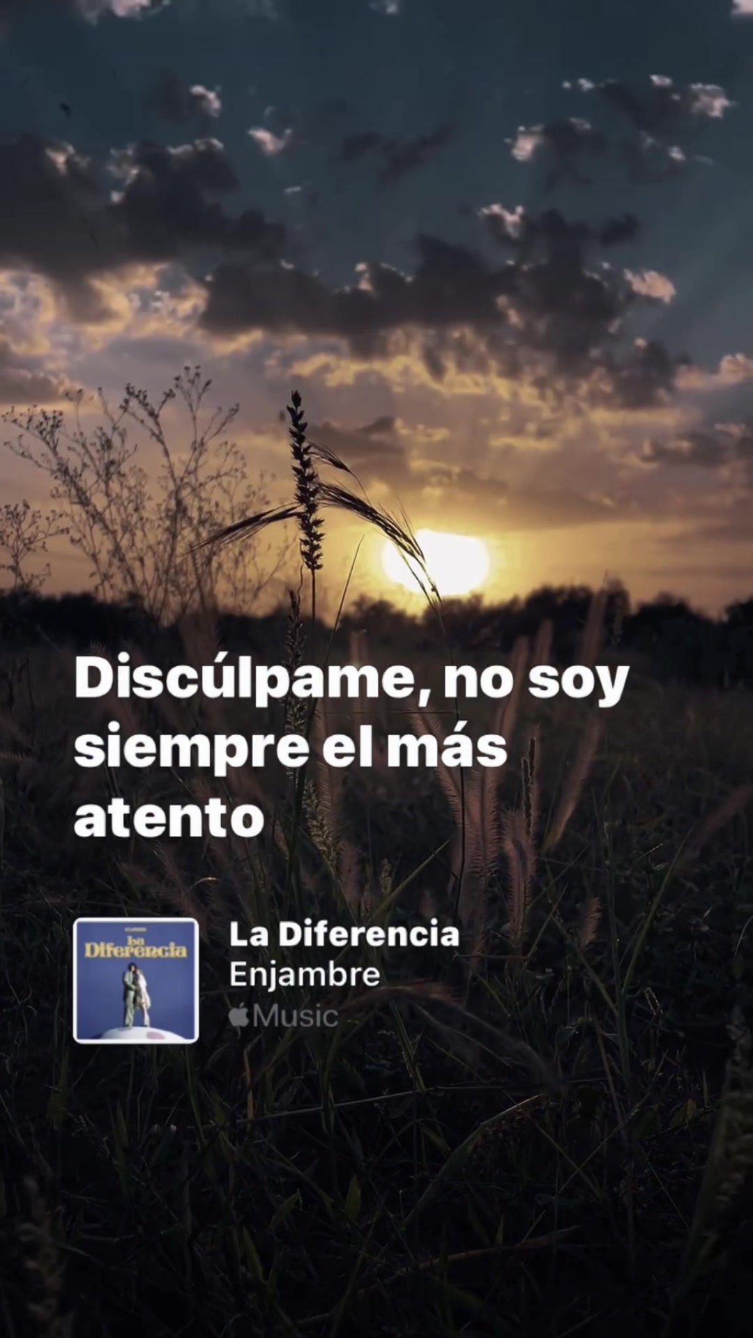 @Cristhian García