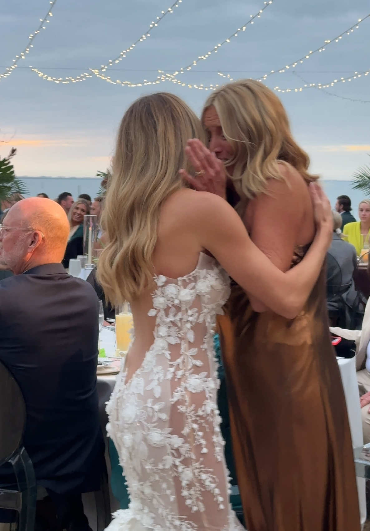 @SUMMER WILSON FOX 🕊️