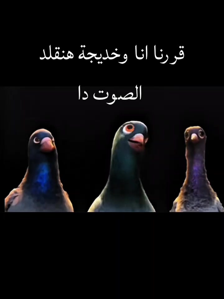@الطاووسة الوقحة😉🤙🏼