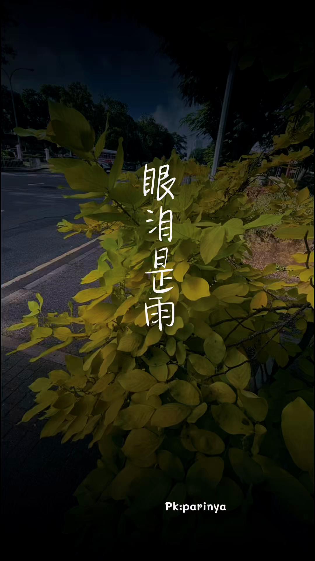 @Namfon.SK5664