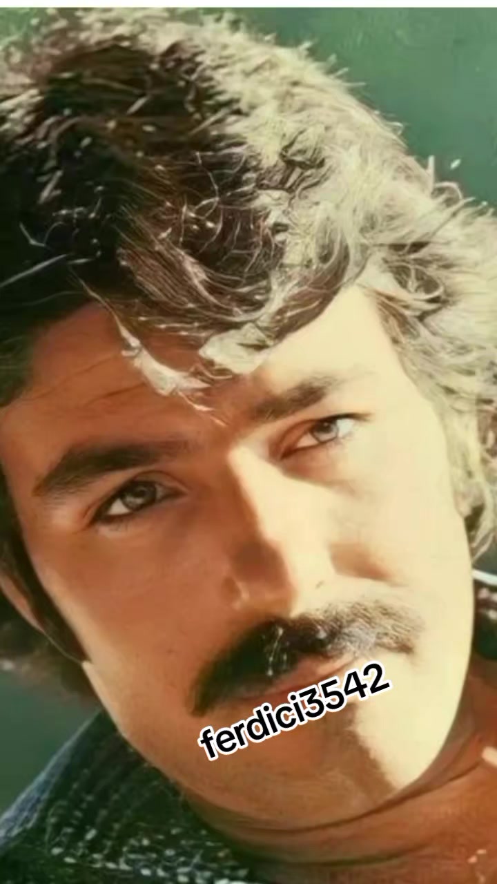@ferdici3542
