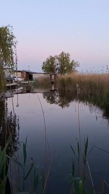 @Снежана Наточий🇷🇺