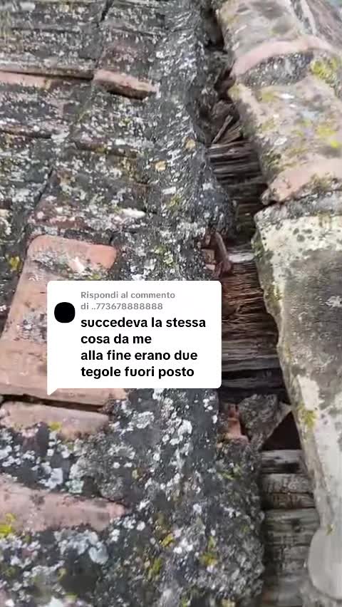 @🚻LaCoppiaFoggiana®️