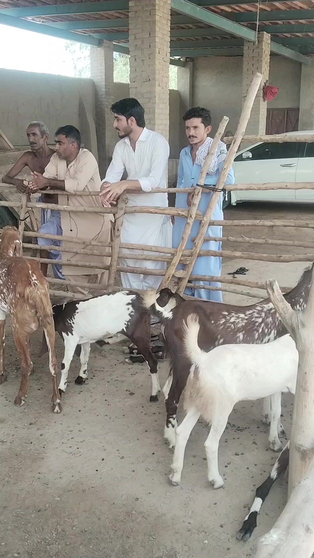 @JOGI shab
