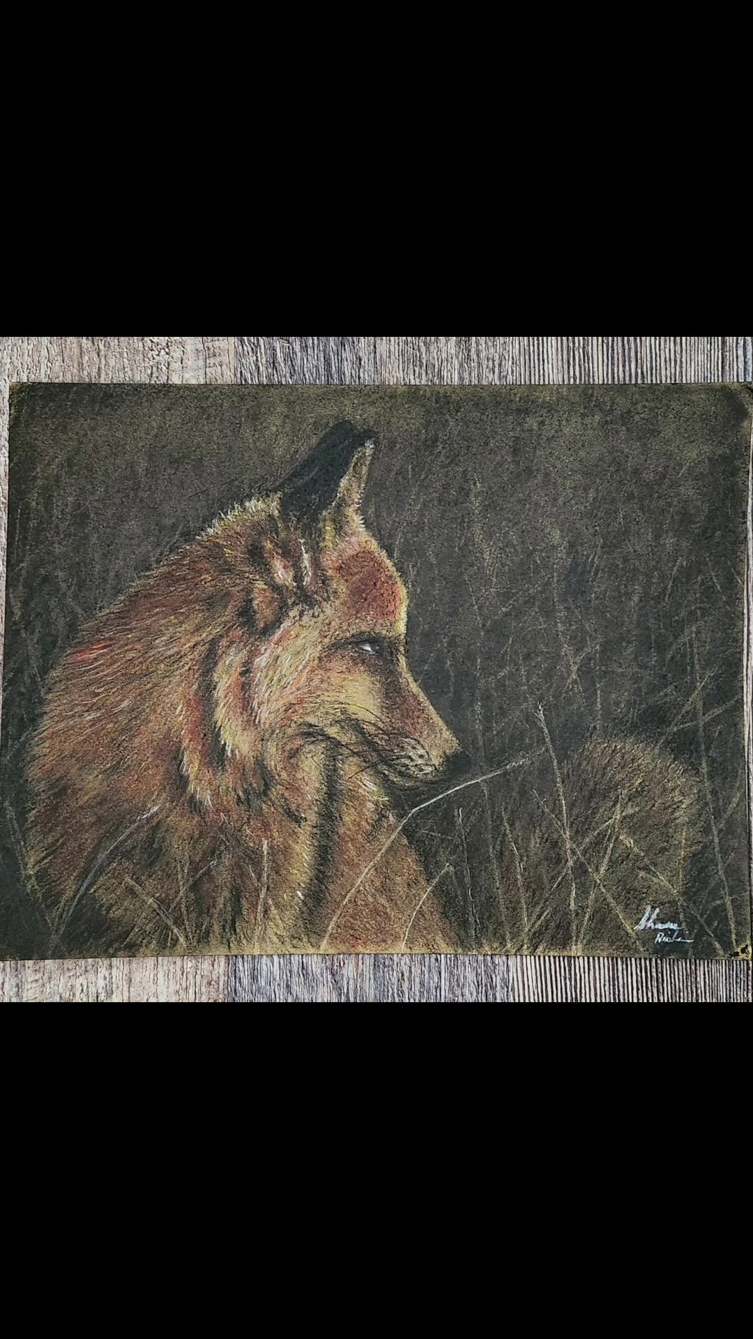 @Shanesart4u