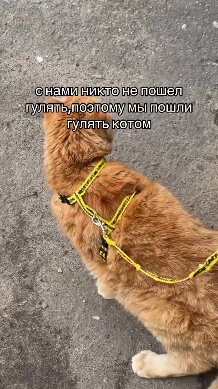 @пашалина!!☆