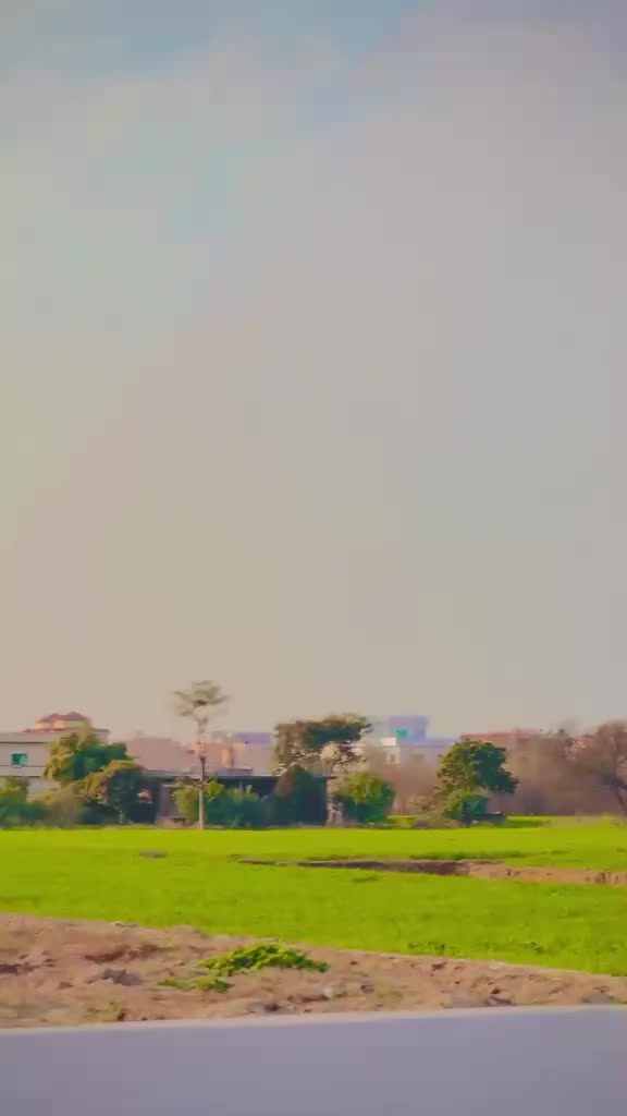 @༄●⃝ 凵爪丹尺 ࿐