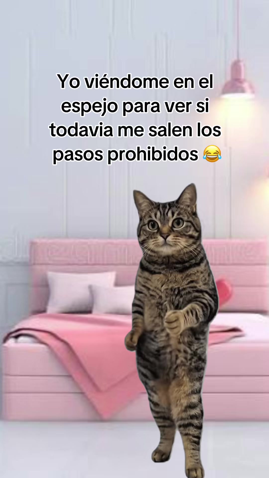 @Sabrii Cmj🐒💃🏻❤️&zwj;🩹