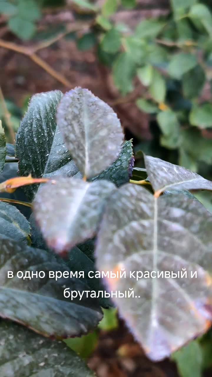 @🐢Turtle_Tech