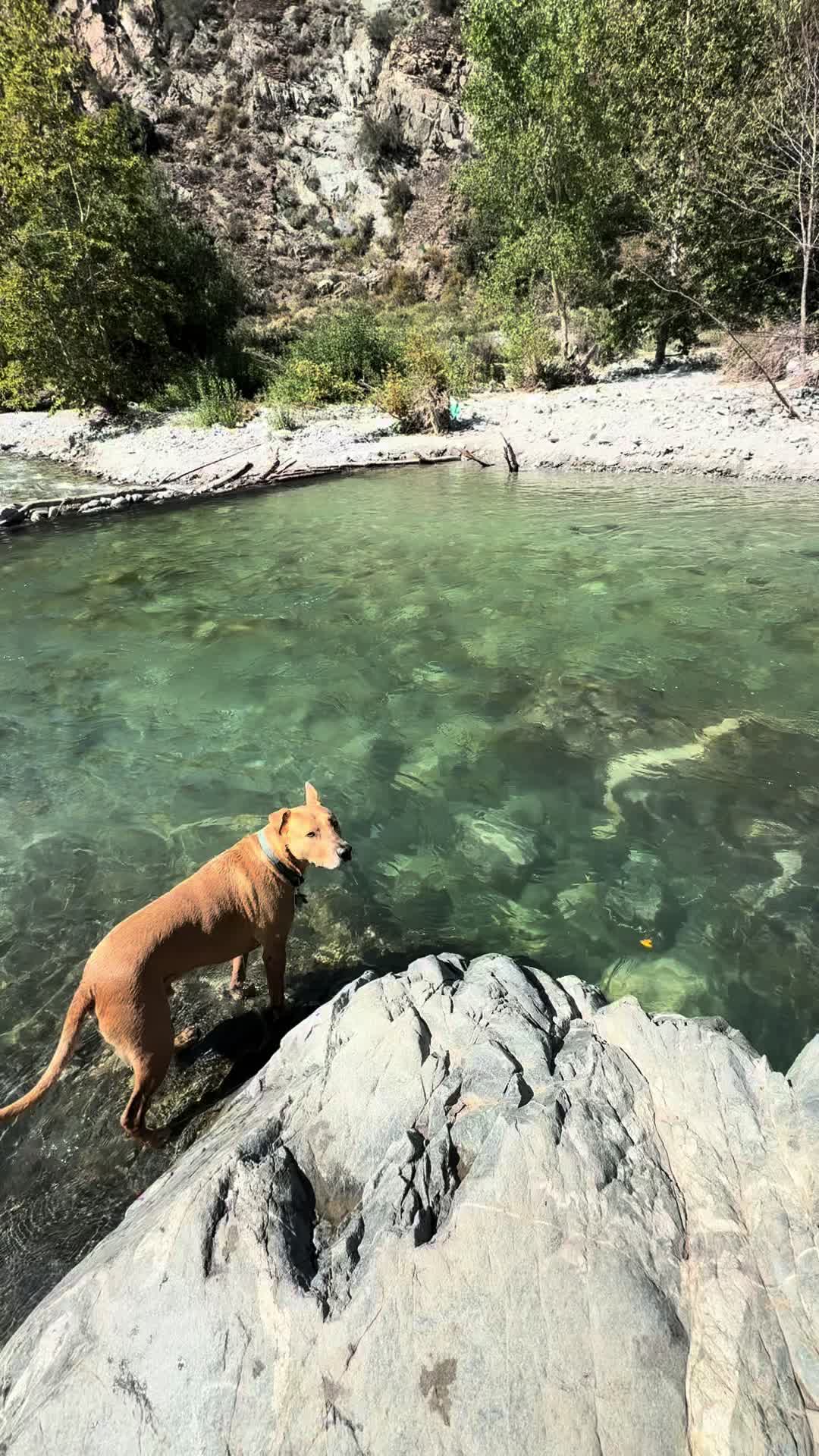 @Adventuresofmaxxandsandie