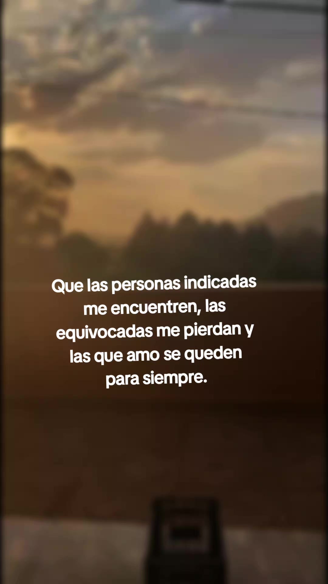 @marlenn miranda
