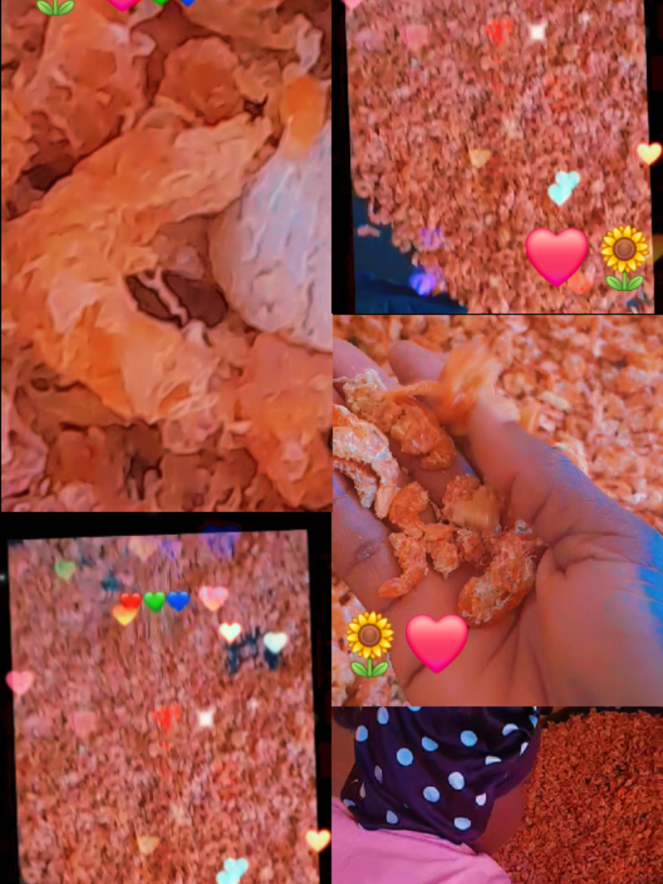 @mariediatta660