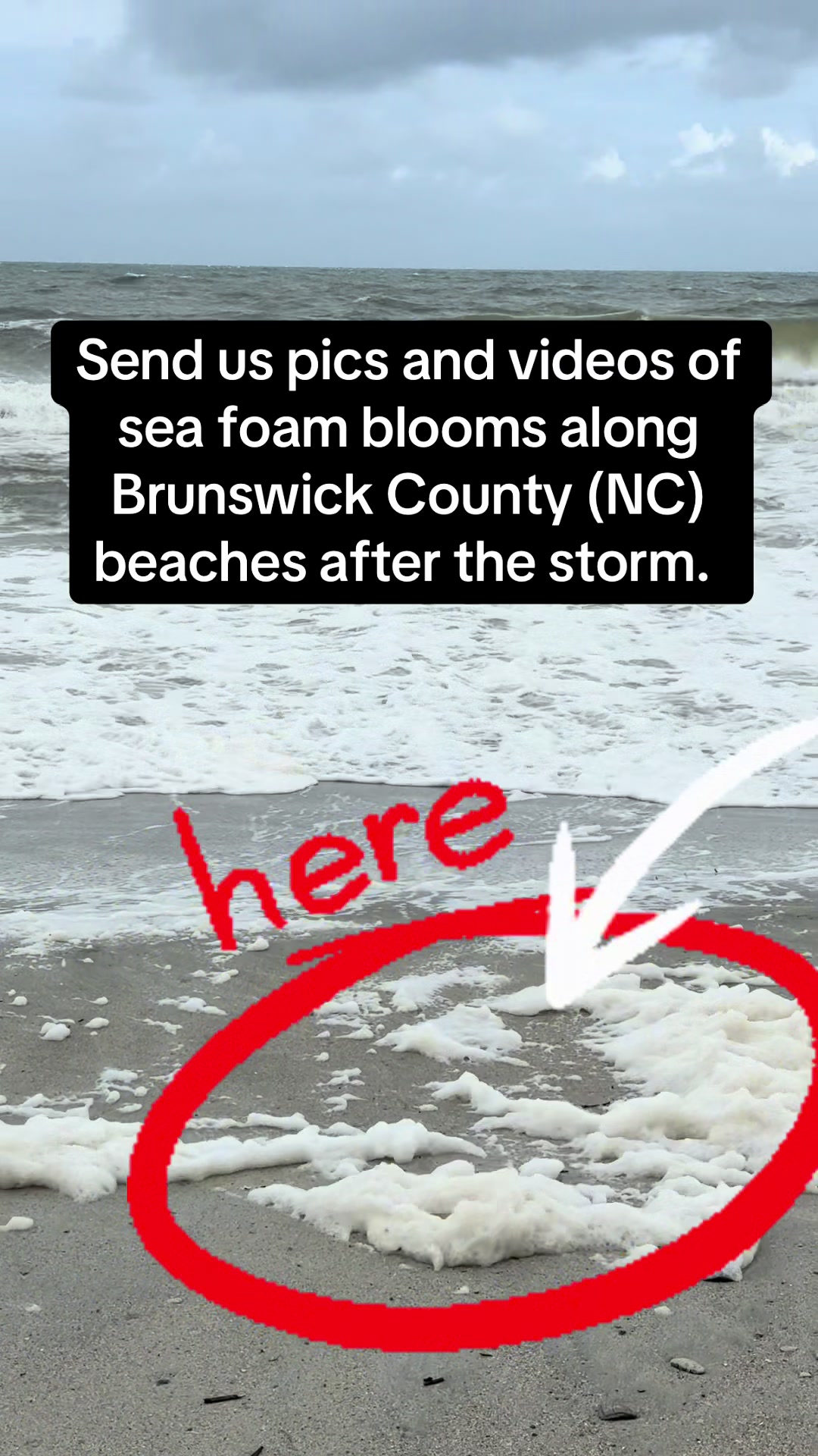@Clean Cape Fear