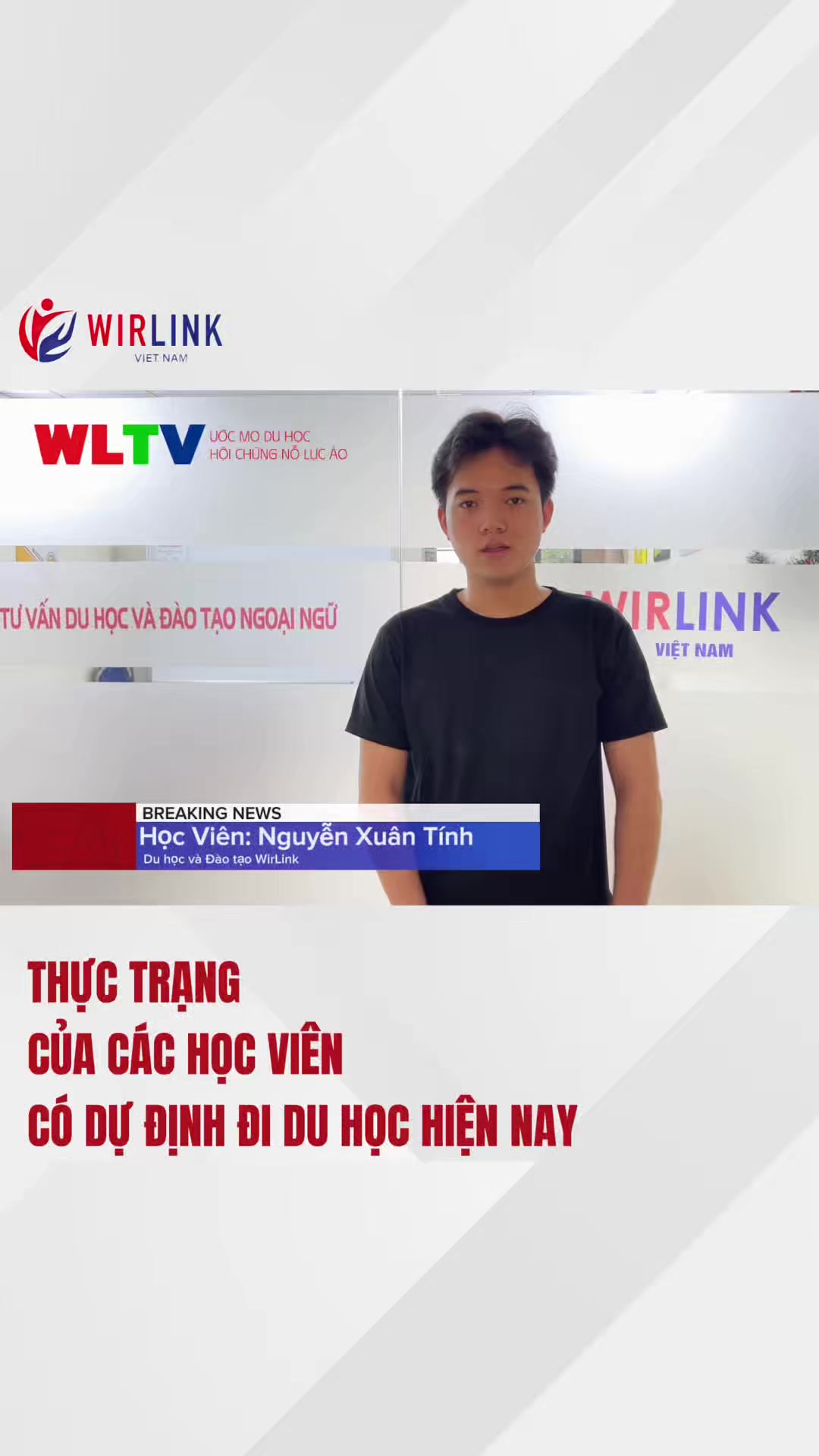 @WirLink Việt Nam
