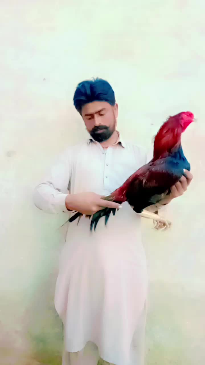 @Badshah Sahu