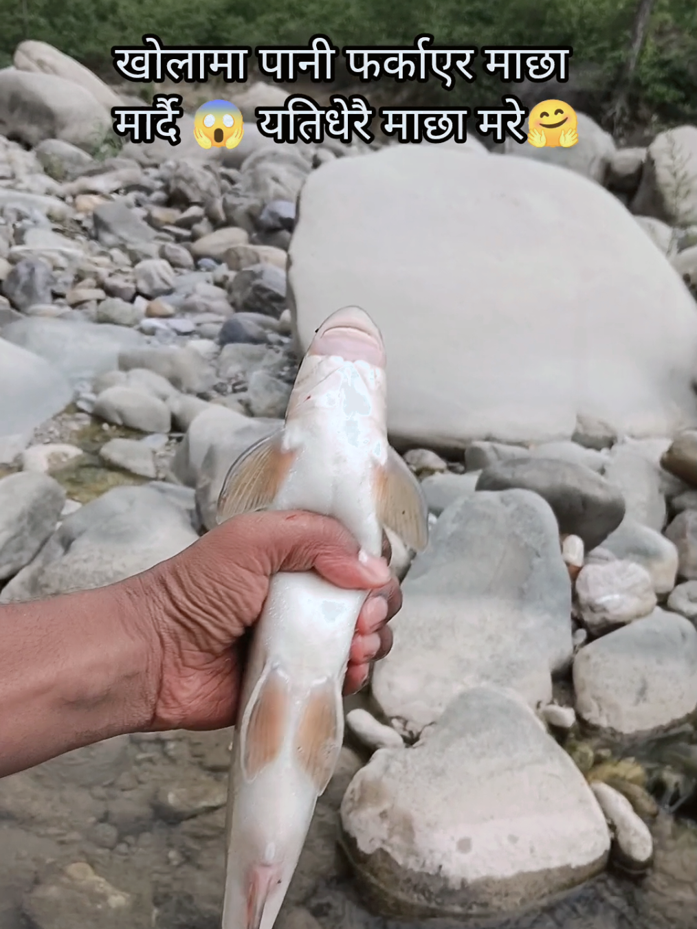 @Jayant Vlogs