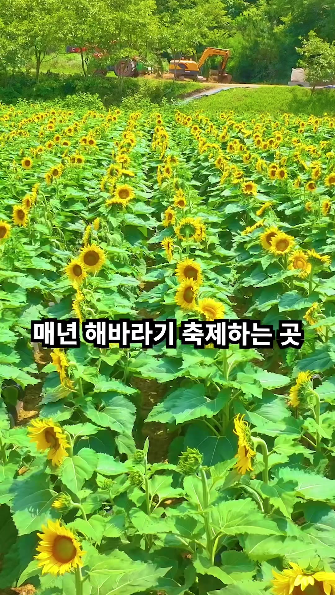 @Ddoo_pd