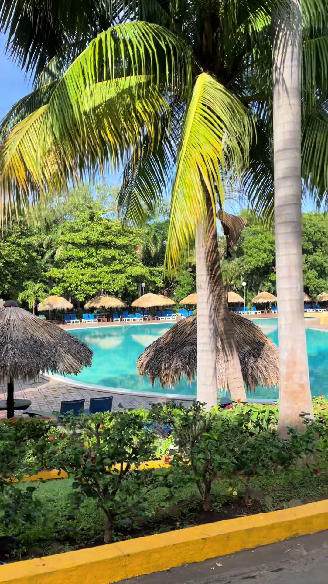 @Agencia Montelimar 🌊☀️🌴