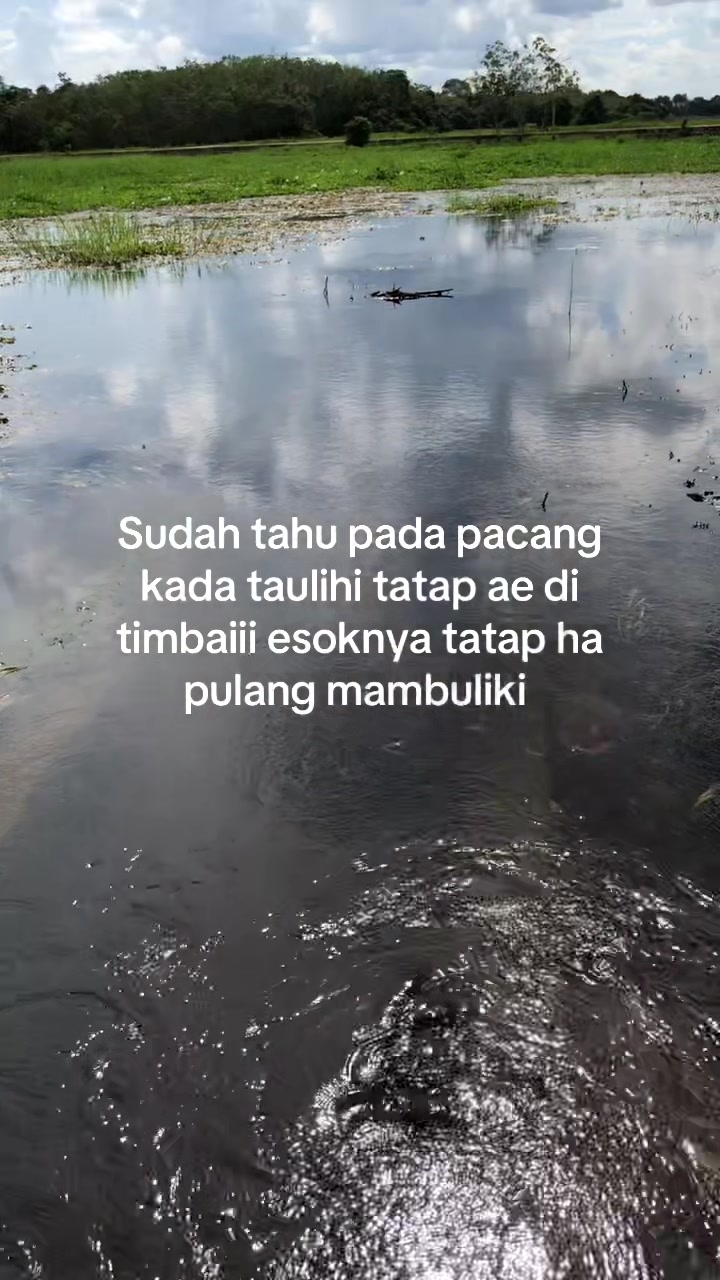 @Hayau tarus