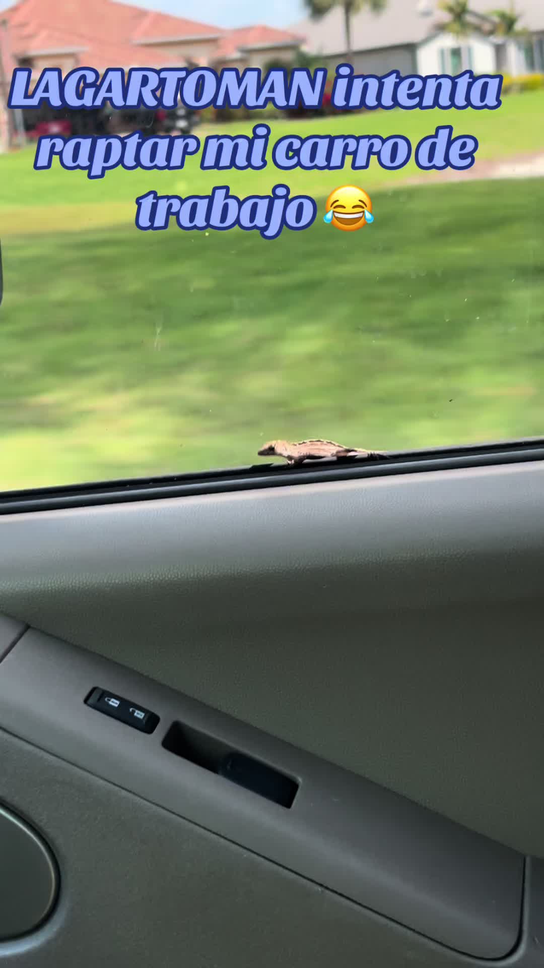 @Andy10🇨🇺