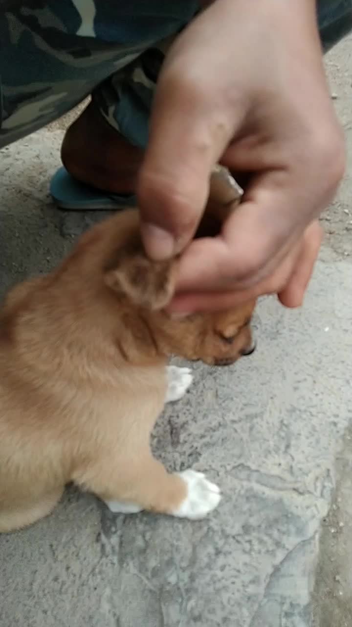 @siuthanh81