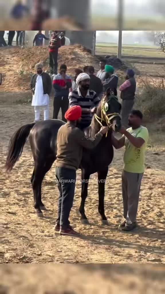@Rai adrees Kharal