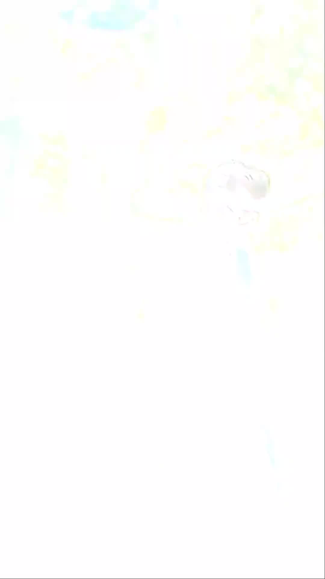 @Wajidalishah_33