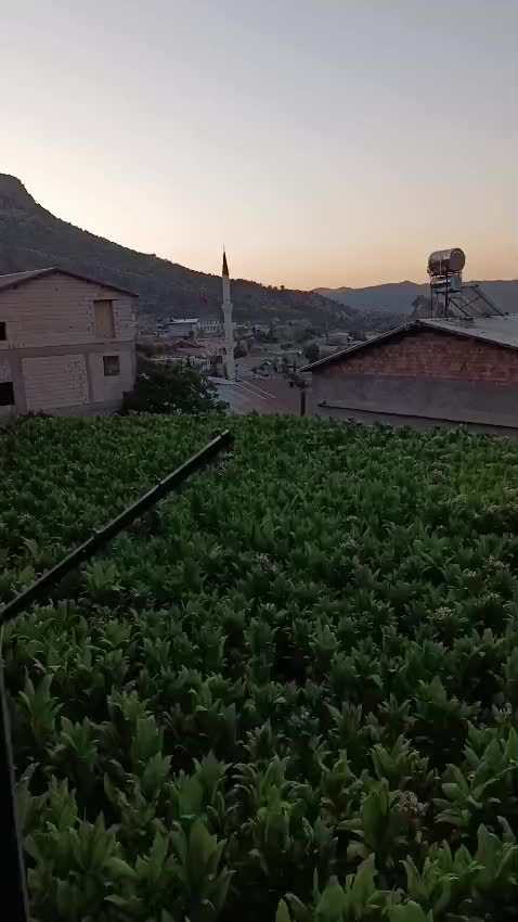 @02 adıyaman fatih