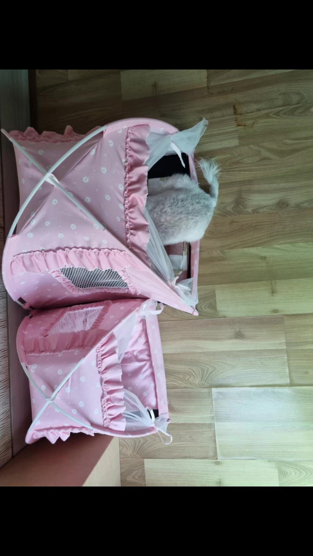 @ㄱ포항김개똥