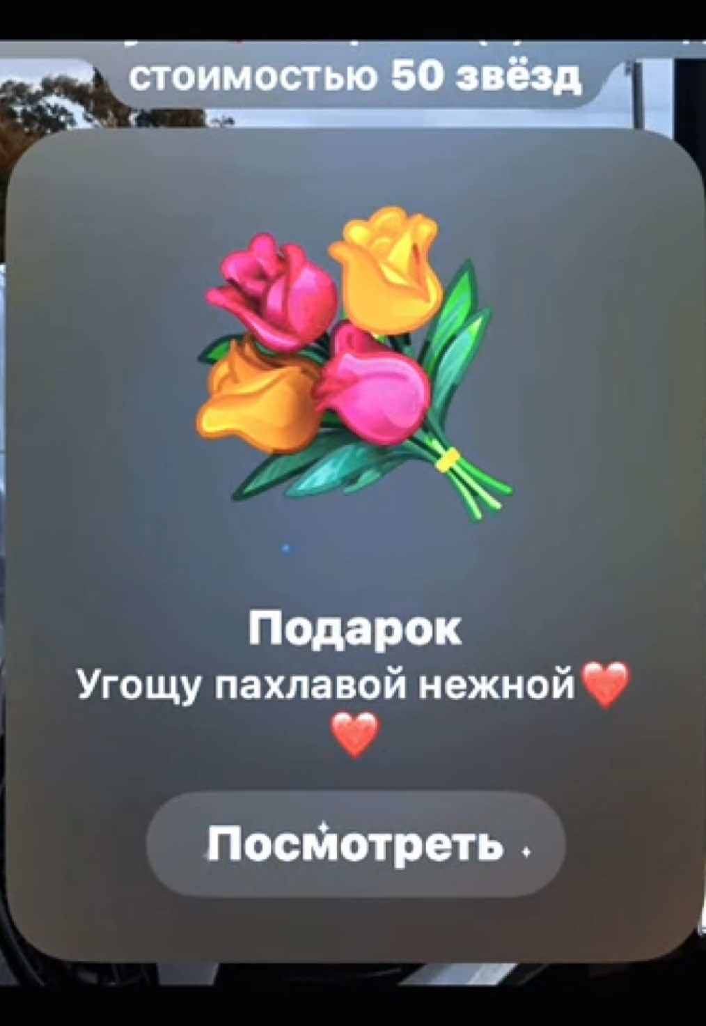 @𝒊𝒍𝒐𝒏𝒂 🇬🇪