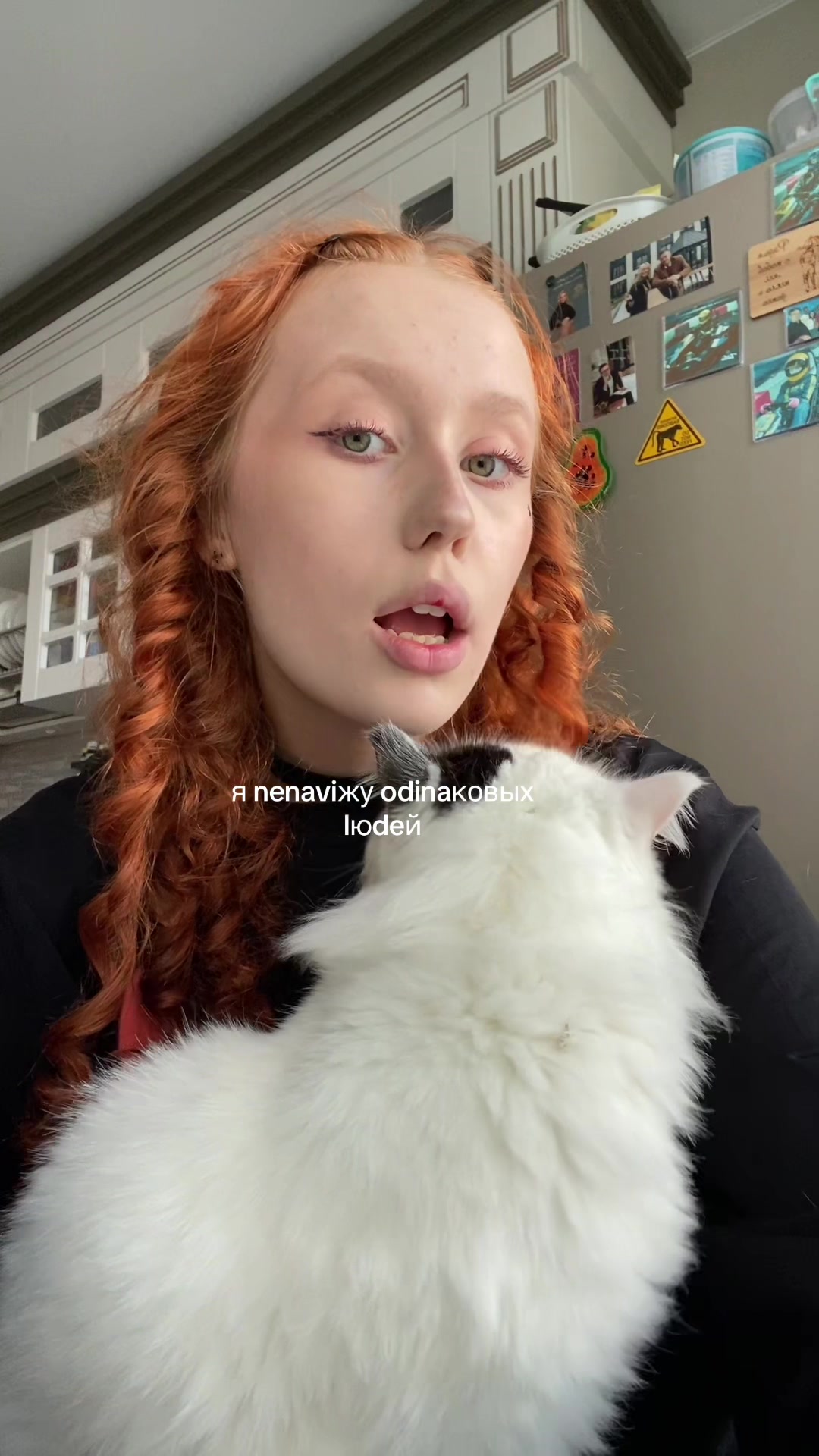 @соня рэб бит