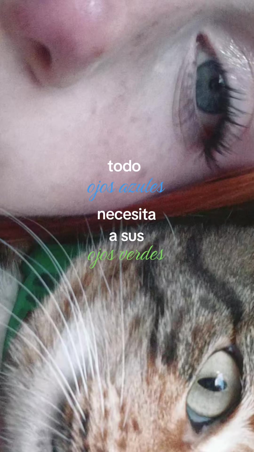 @# ¡ 𝗠aici ! ౨ৎ⋆˚。⋆