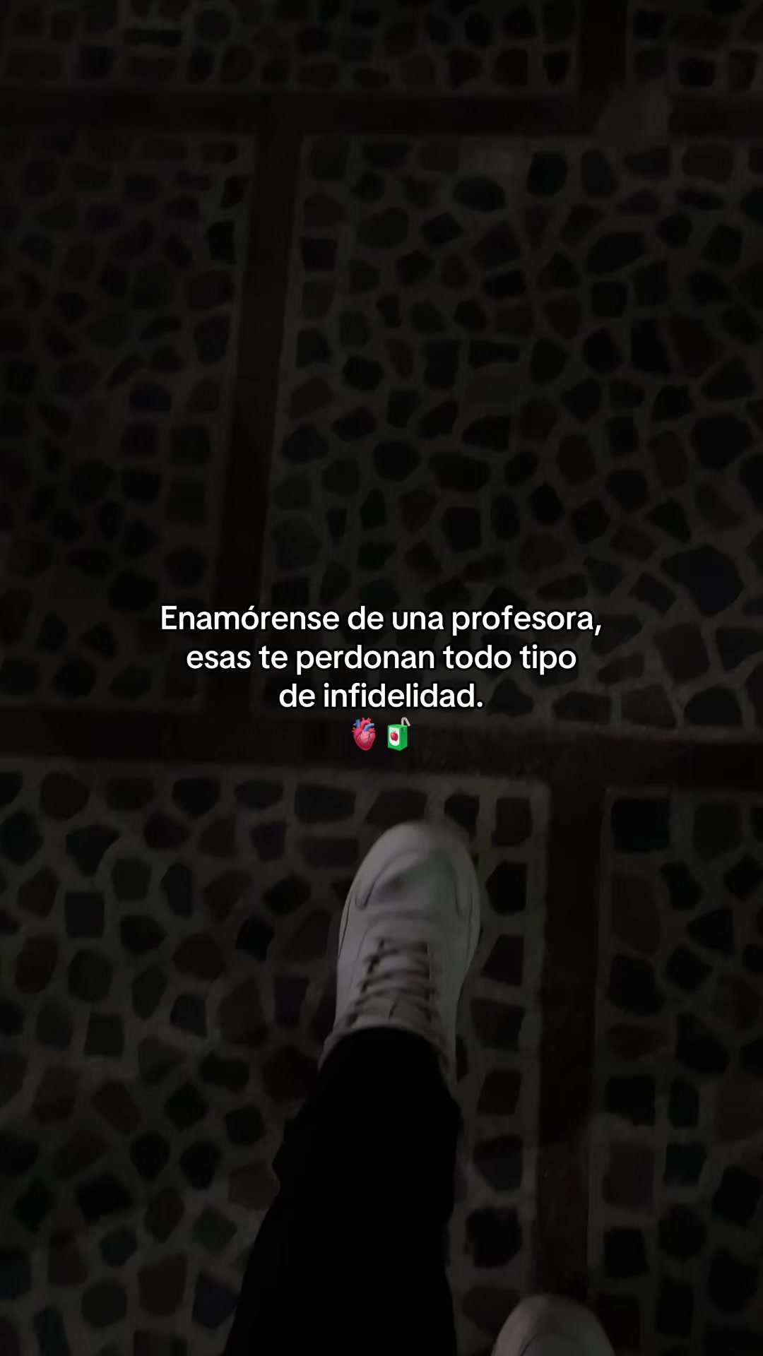 @Gatocix 🐱