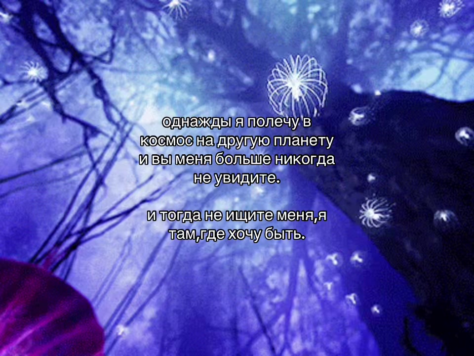 @сара йес 🗽