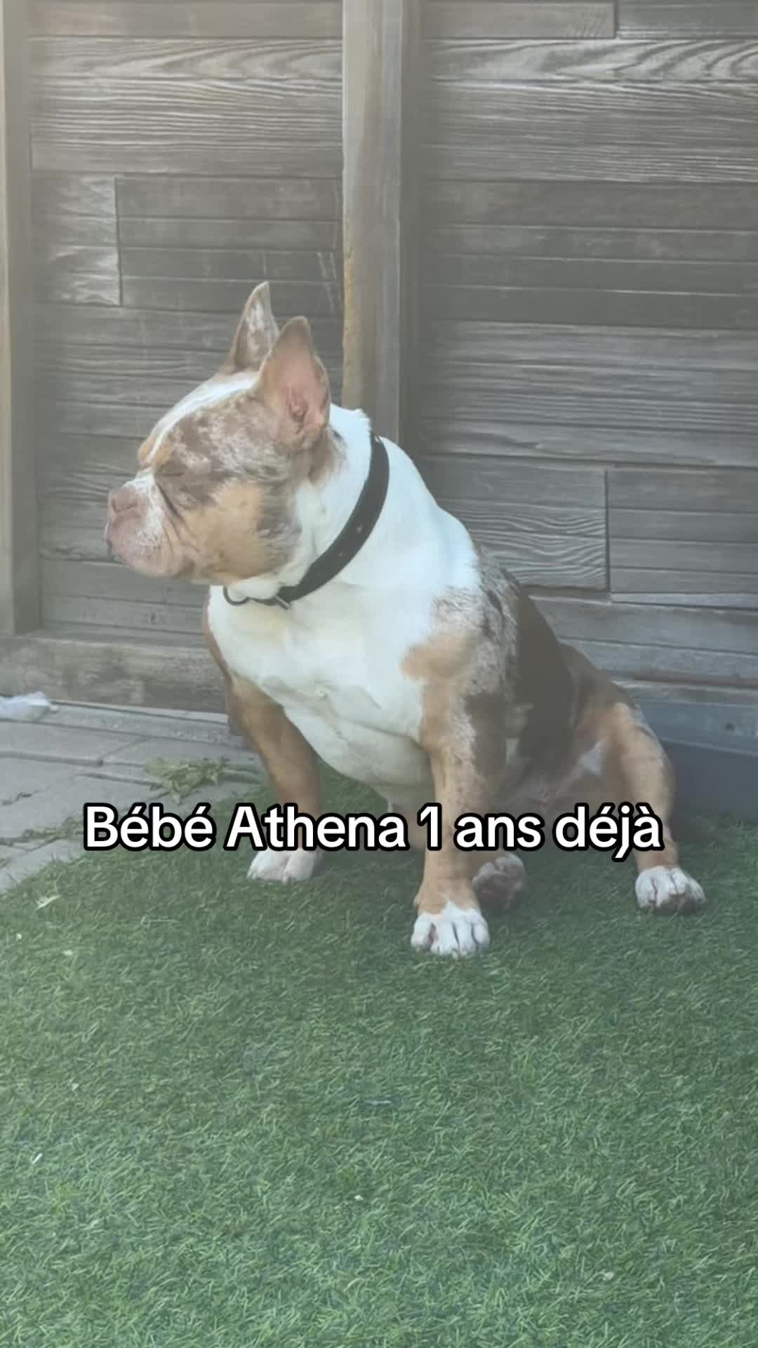 @🔥 Athena en follie 🔥