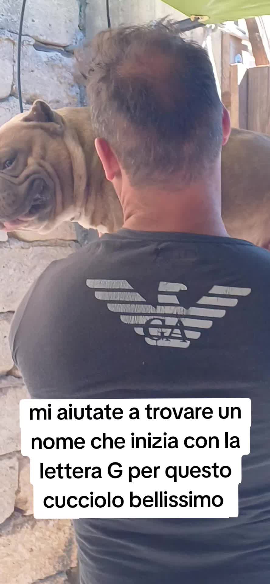 @Alfio Arcifa Magistrale