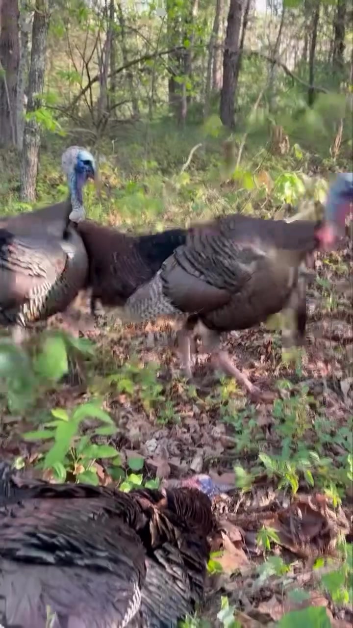 @Buckmasters Outdoors