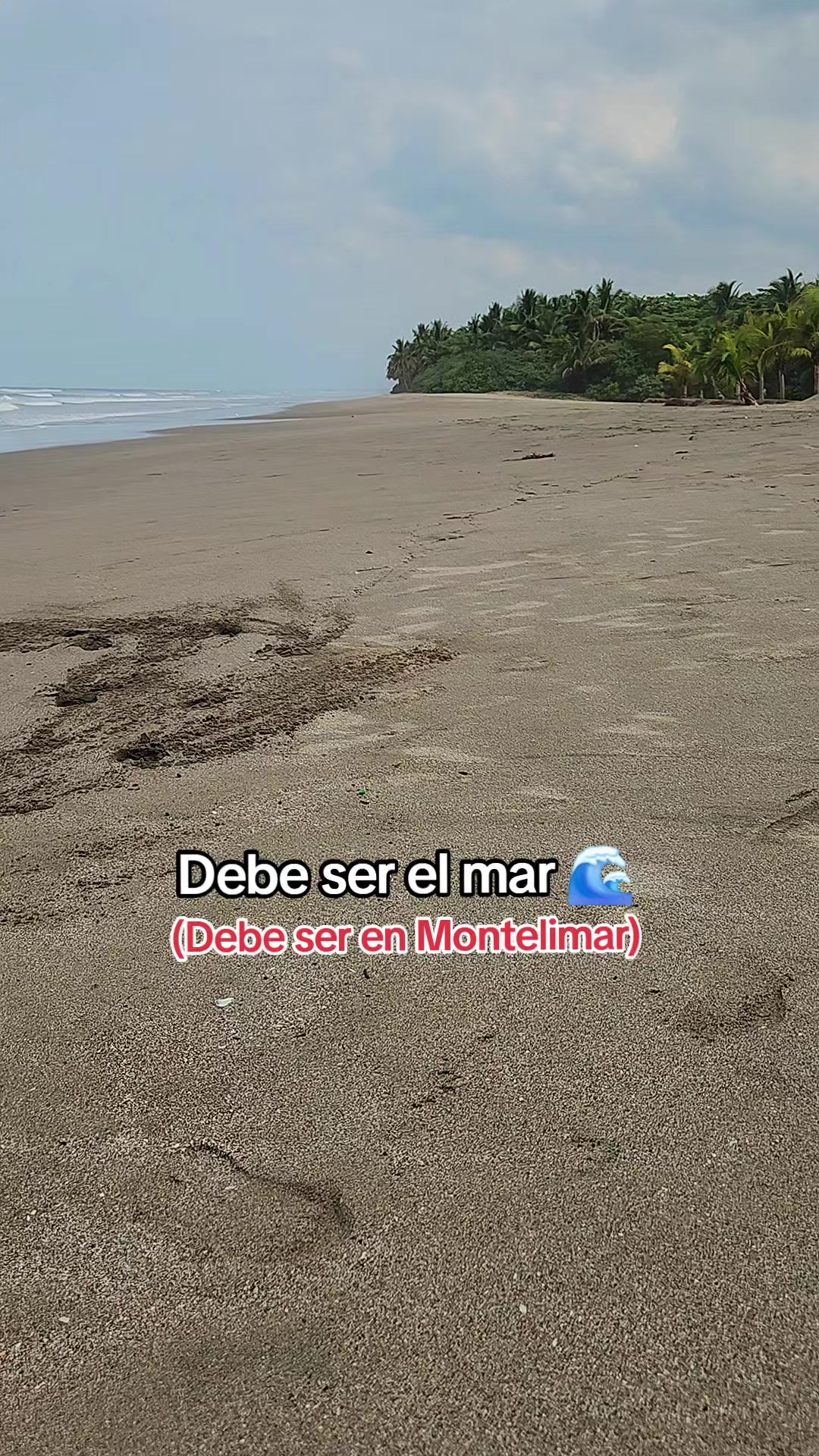 @Agencia Montelimar 🌊☀️🌴