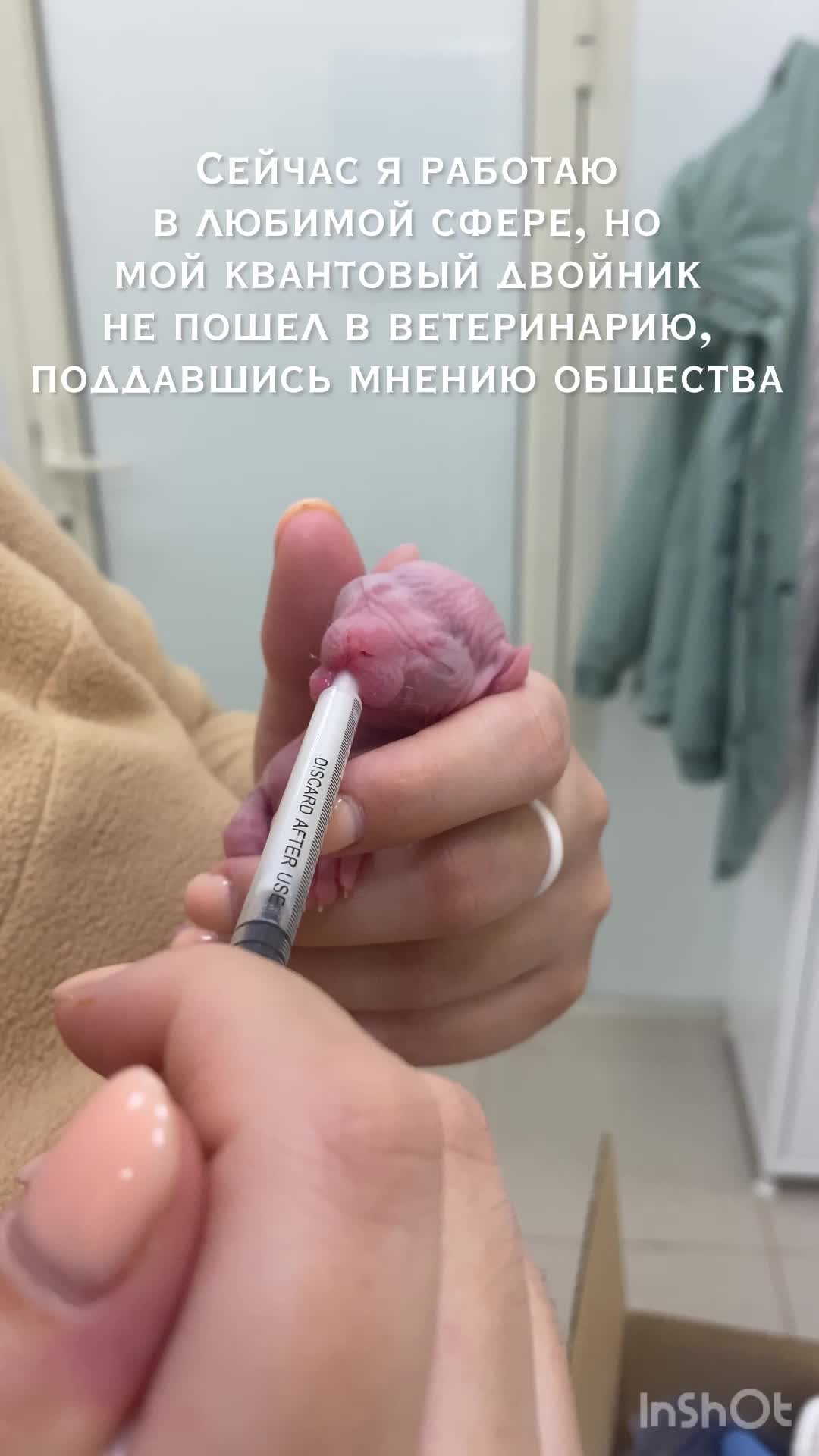 @Дизлайка