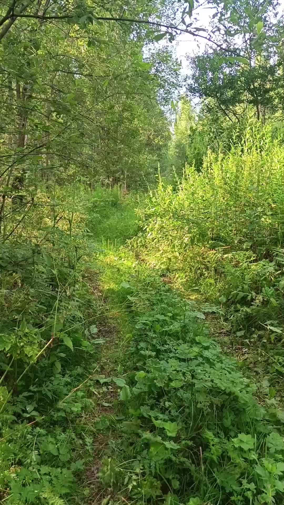 @мучачо
